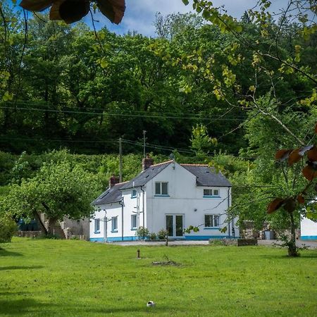 Tucking Mill - 3 Bedroom Holiday Home - Stepaside Stepaside  Экстерьер фото